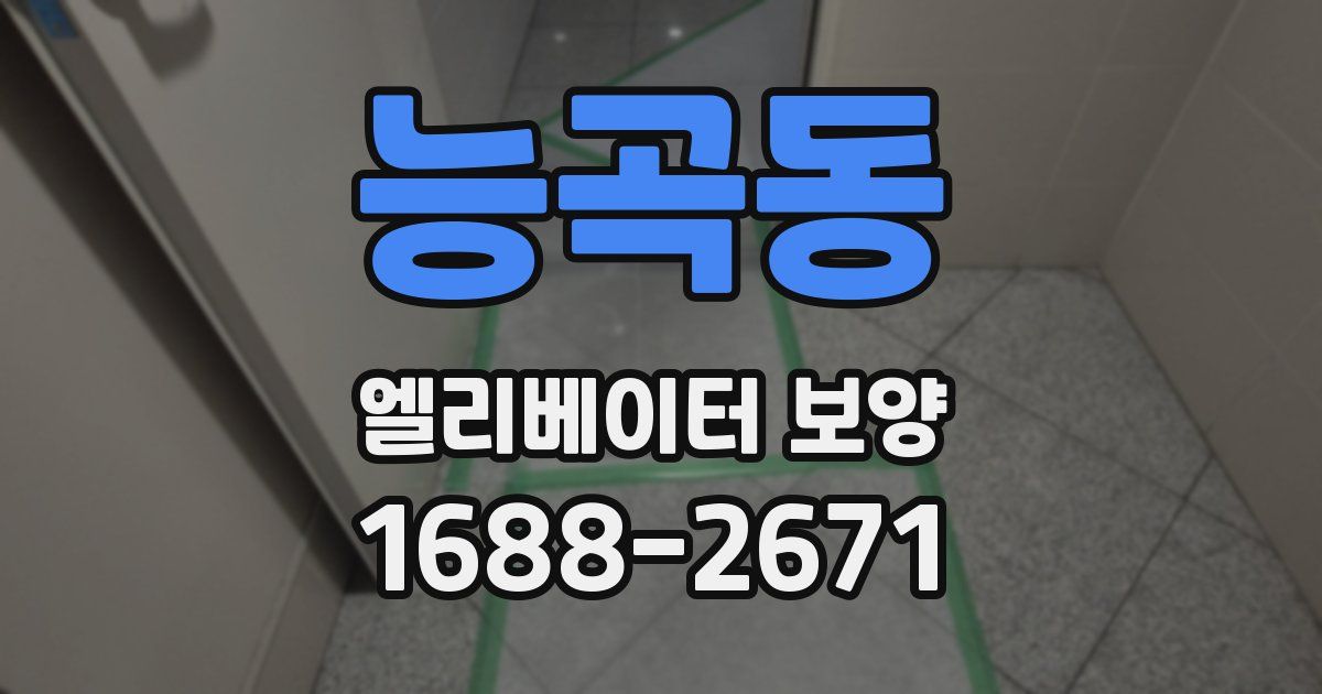 능곡동 엘리베이터 보양
