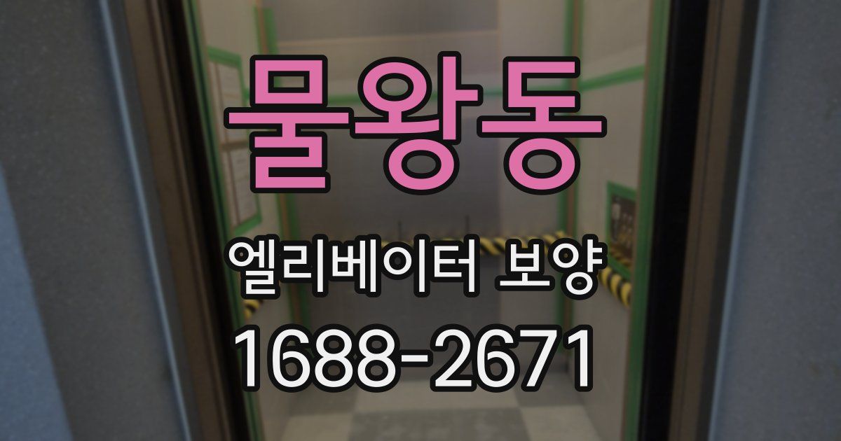 물왕동 엘리베이터 보양