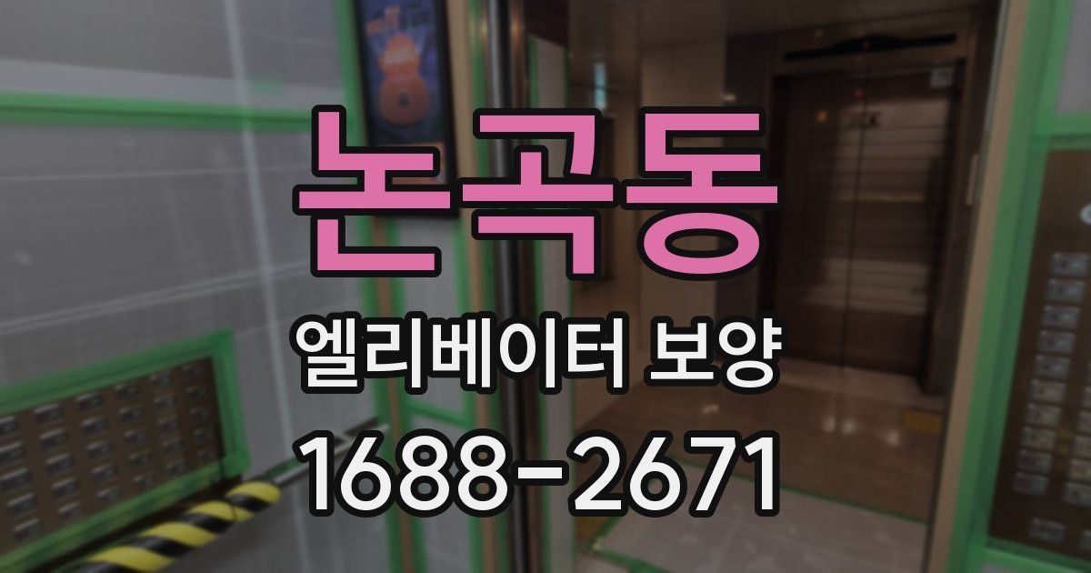 논곡동 엘리베이터 보양