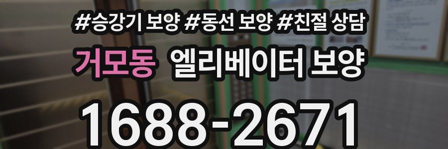 거모동 엘리베이터 보양