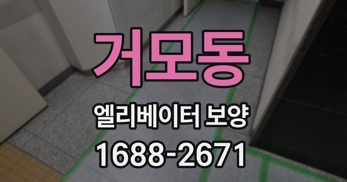 거모동 엘리베이터 보양