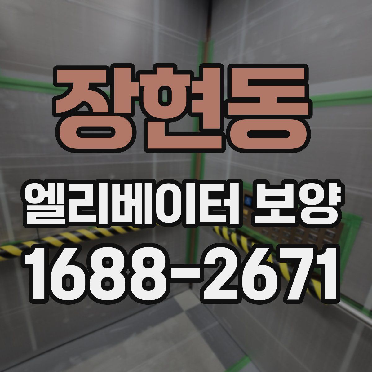 장현동 엘리베이터 보양