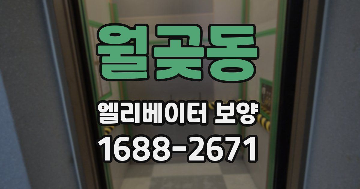 월곶동 엘리베이터 보양