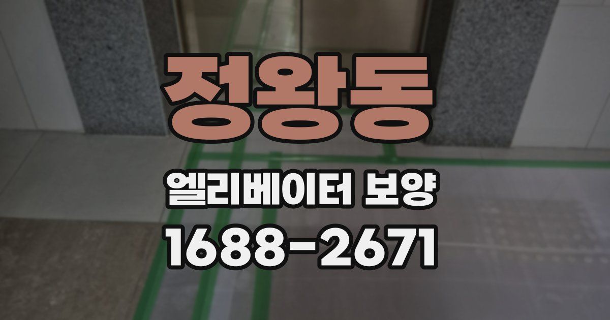 정왕동 엘리베이터 보양