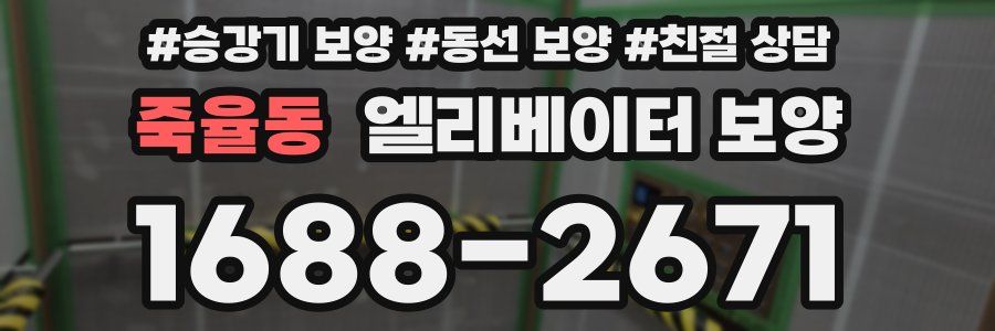 죽율동 엘리베이터 보양