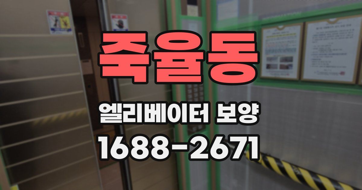 죽율동 엘리베이터 보양