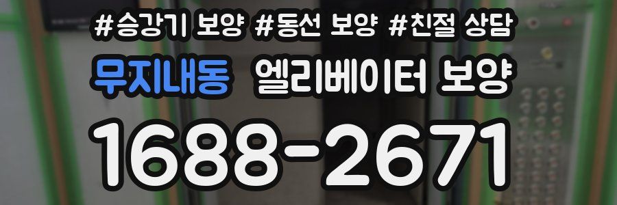 무지내동 엘리베이터 보양