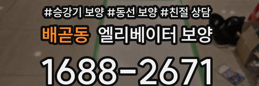 배곧동 엘리베이터 보양