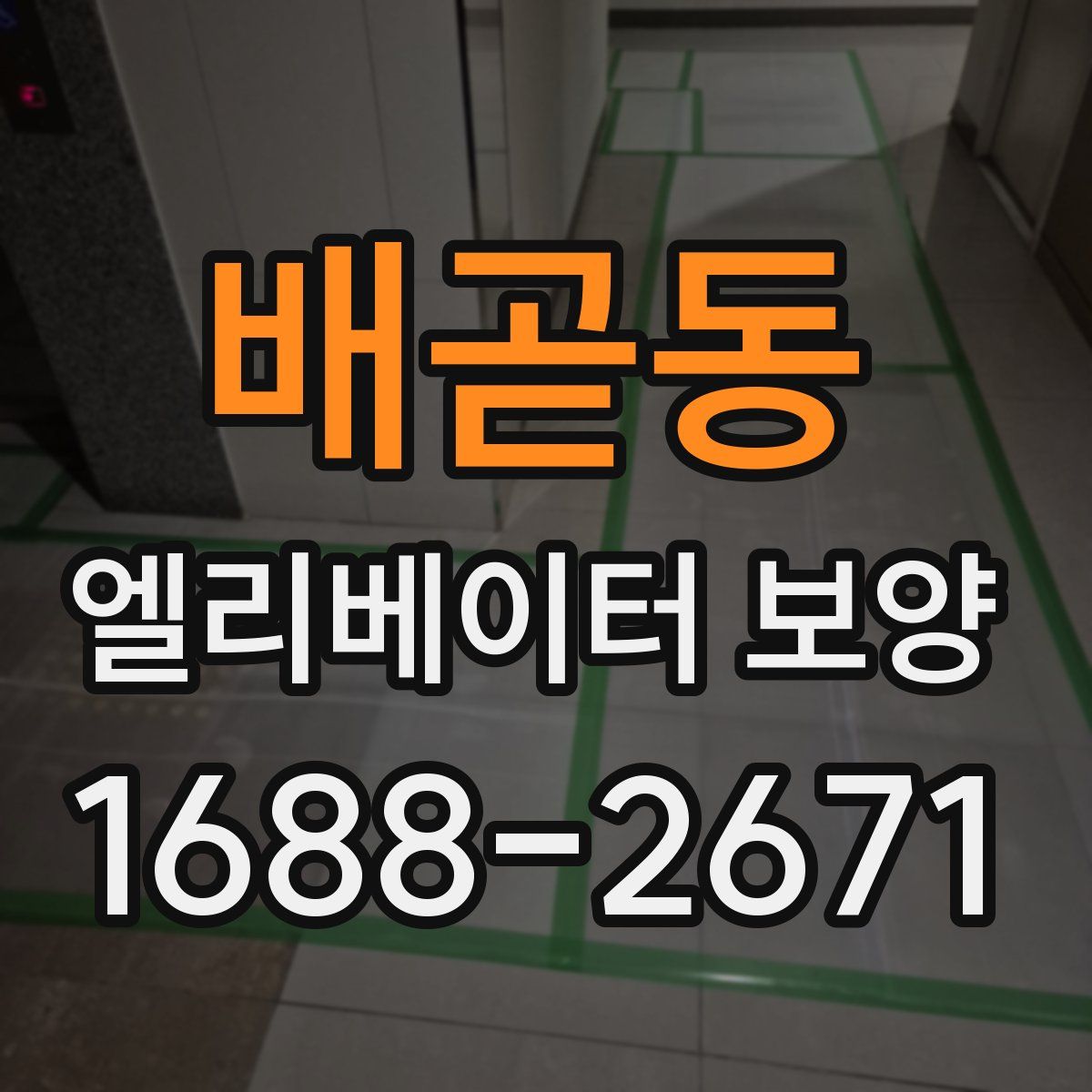 배곧동 엘리베이터 보양