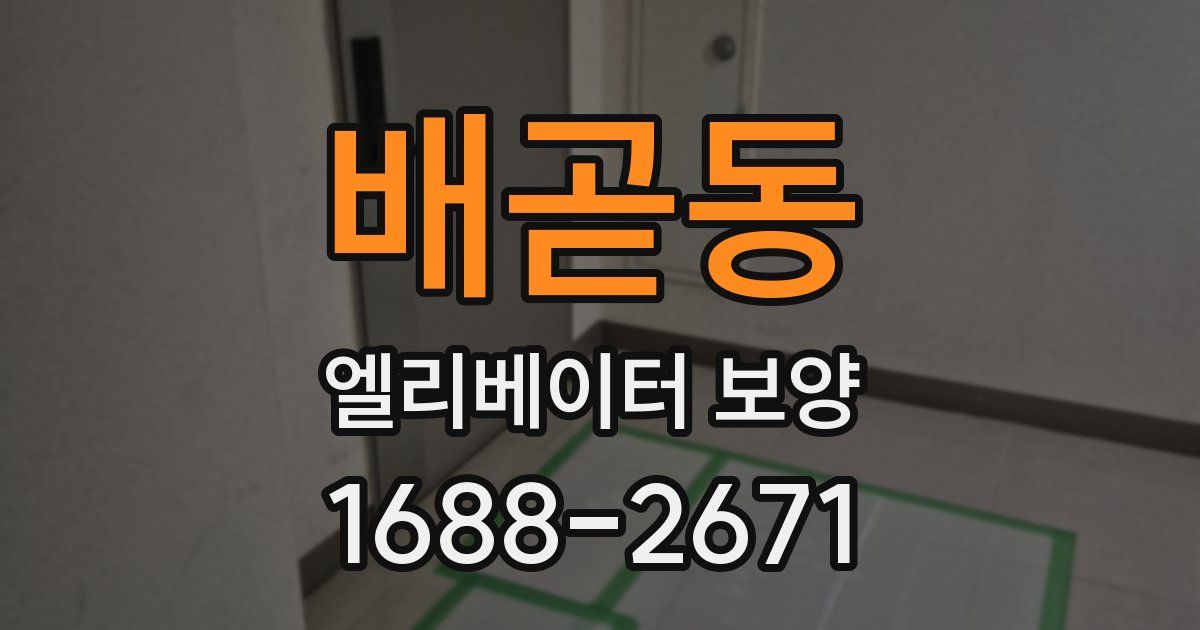 배곧동 엘리베이터 보양