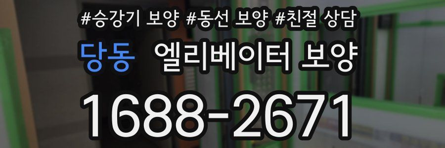 당동 엘리베이터 보양