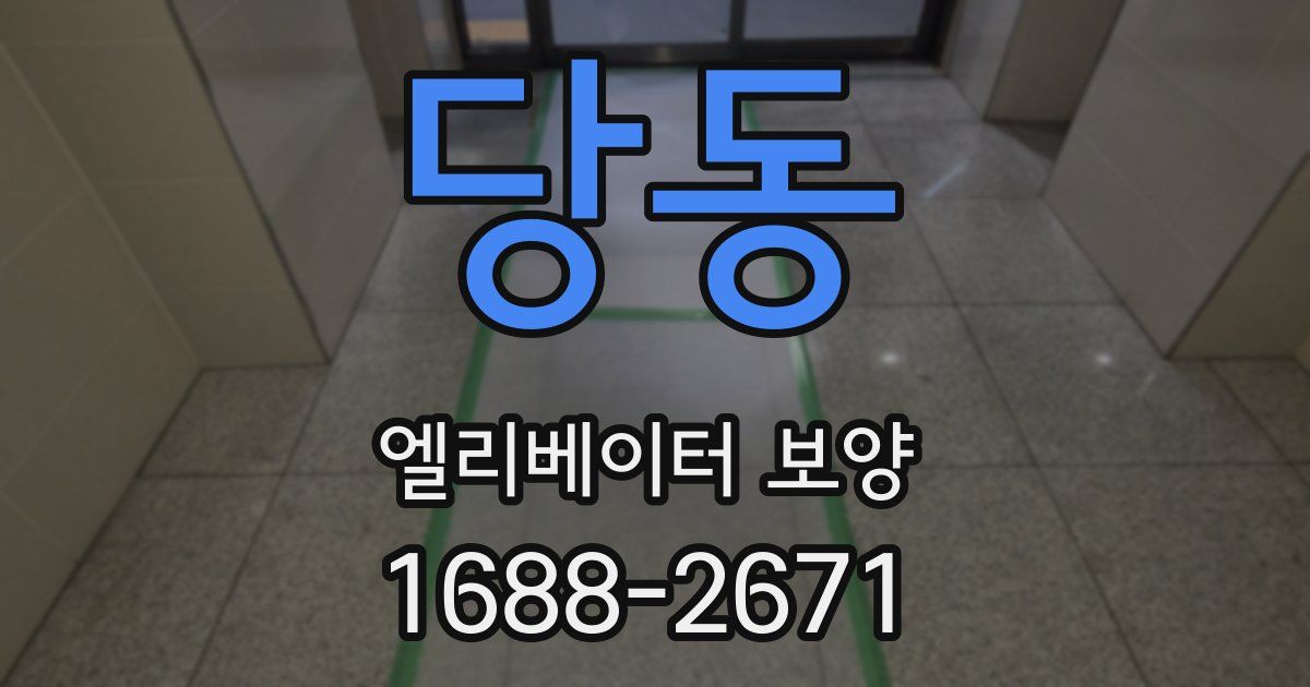 당동 엘리베이터 보양