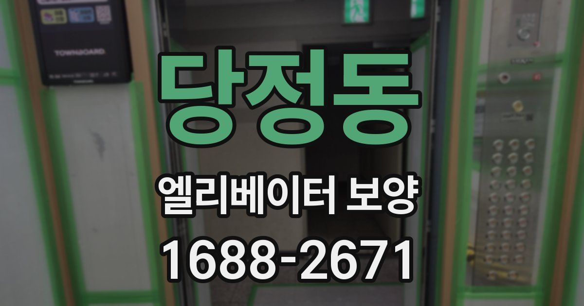 당정동 엘리베이터 보양