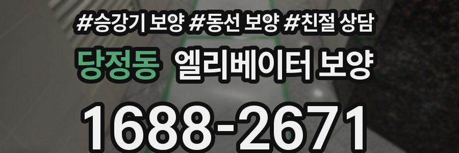 당정동 엘리베이터 보양