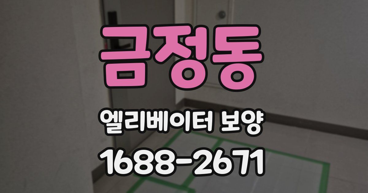 금정동 엘리베이터 보양