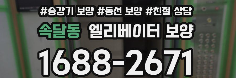 속달동 엘리베이터 보양