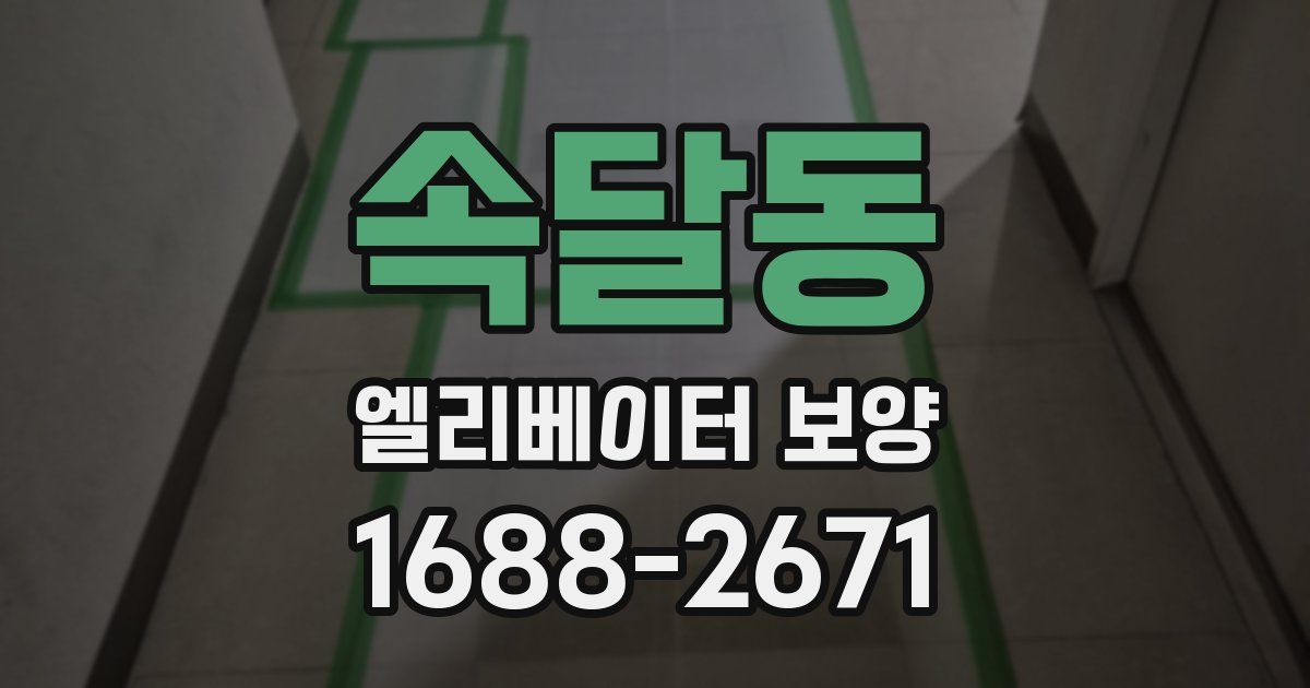 속달동 엘리베이터 보양