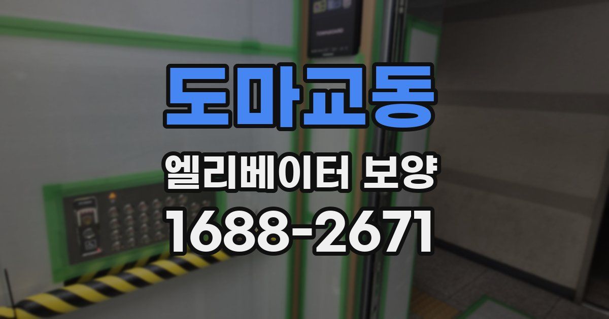 도마교동 엘리베이터 보양