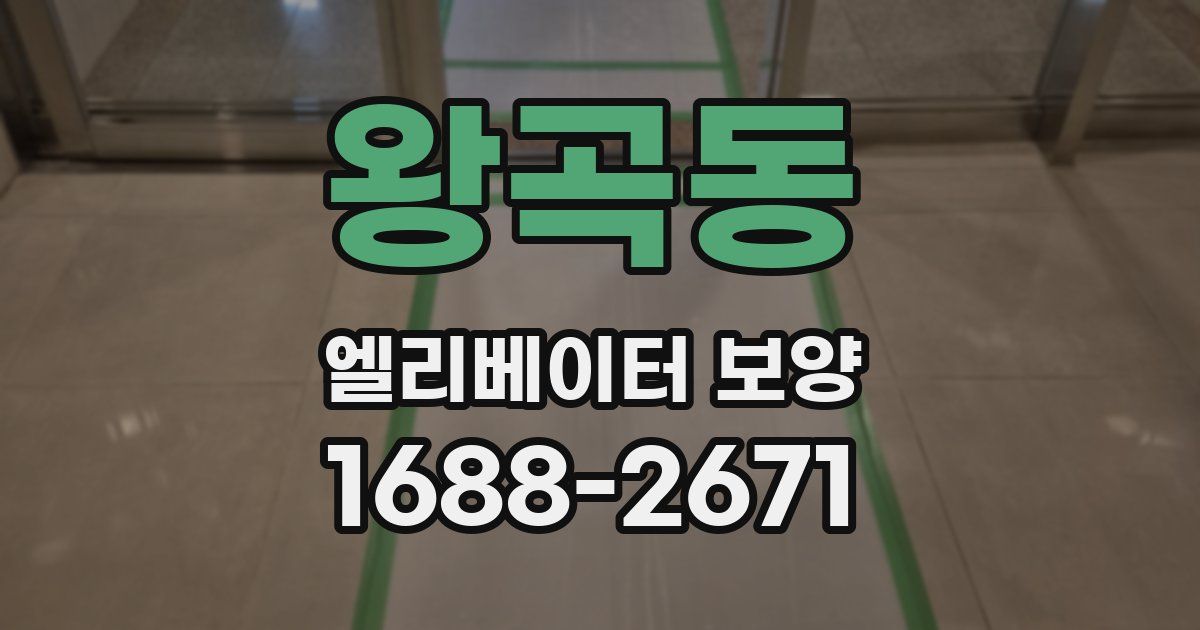 왕곡동 엘리베이터 보양