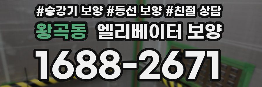 왕곡동 엘리베이터 보양