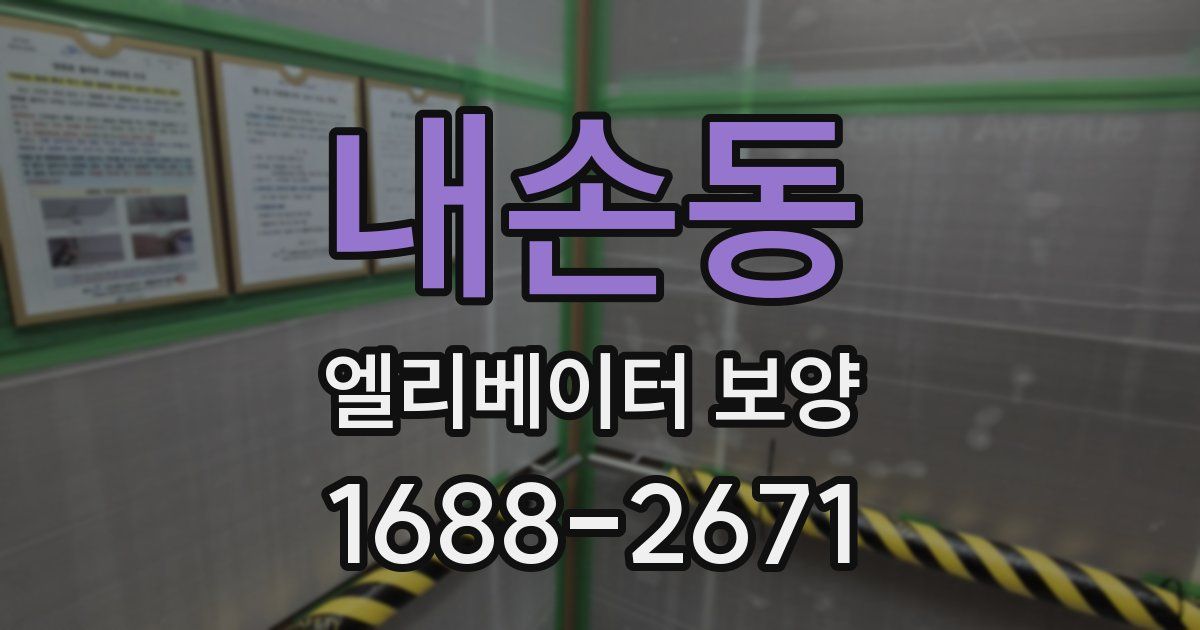 내손동 엘리베이터 보양