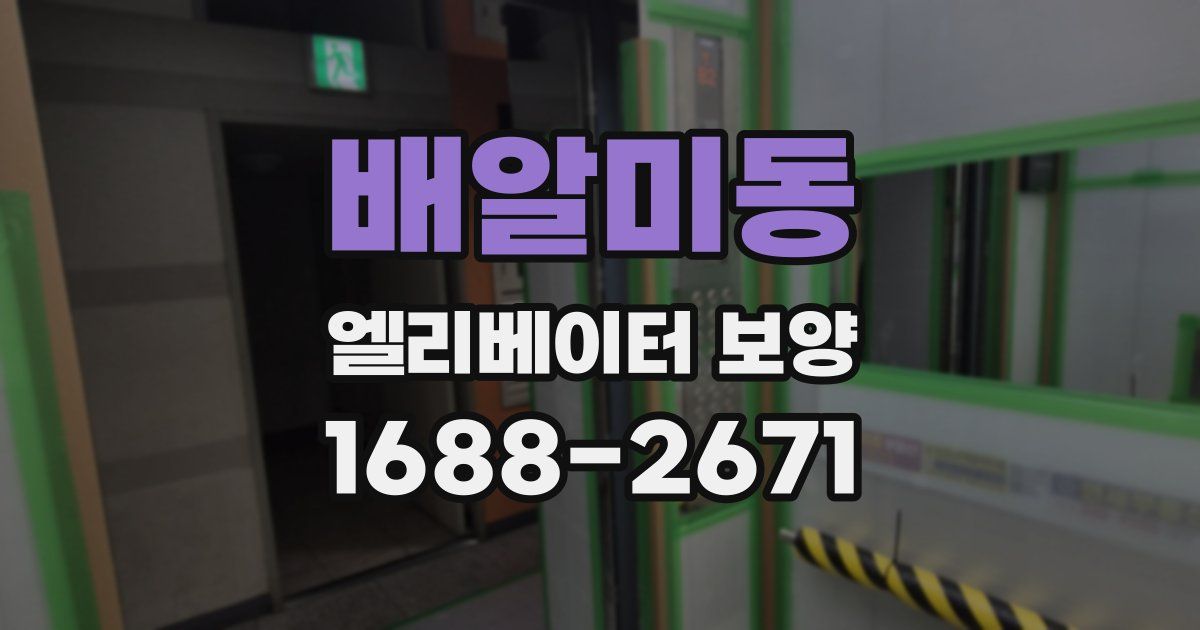 배알미동 엘리베이터 보양