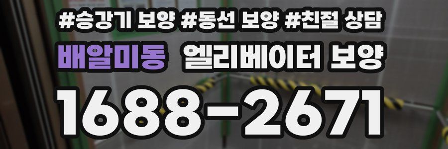 배알미동 엘리베이터 보양