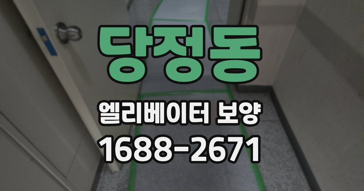 당정동 엘리베이터 보양