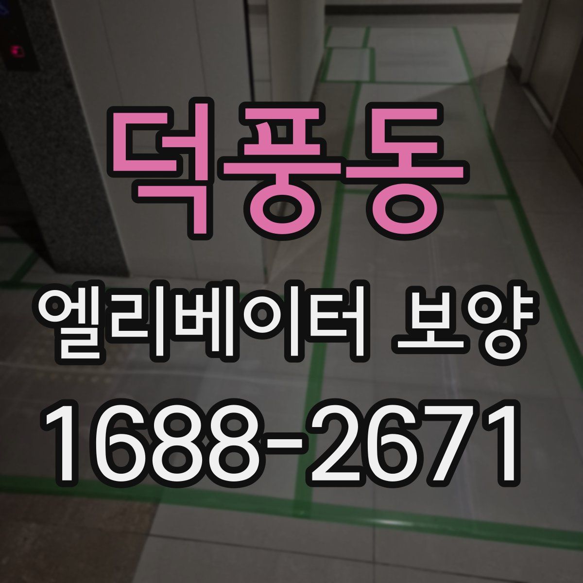 덕풍동 엘리베이터 보양