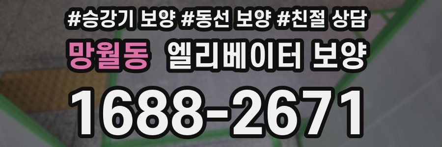 망월동 엘리베이터 보양
