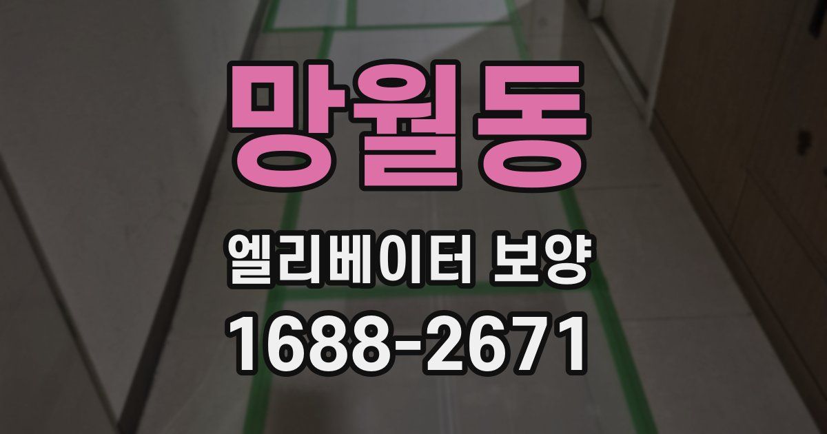 망월동 엘리베이터 보양
