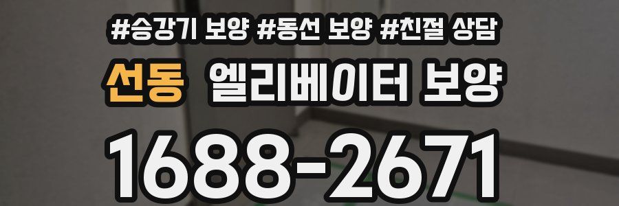 선동 엘리베이터 보양