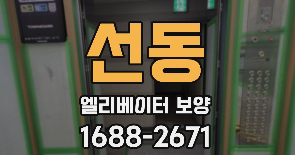 선동 엘리베이터 보양