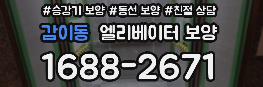 감이동 엘리베이터 보양