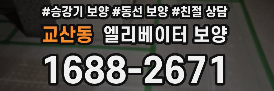 교산동 엘리베이터 보양