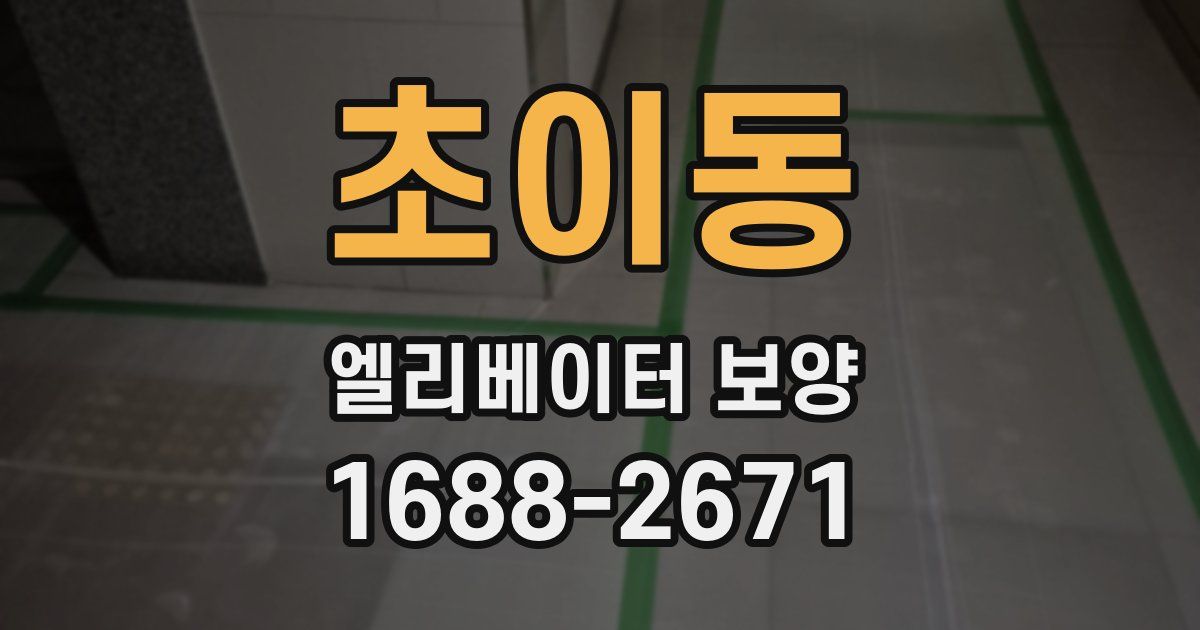 초이동 엘리베이터 보양