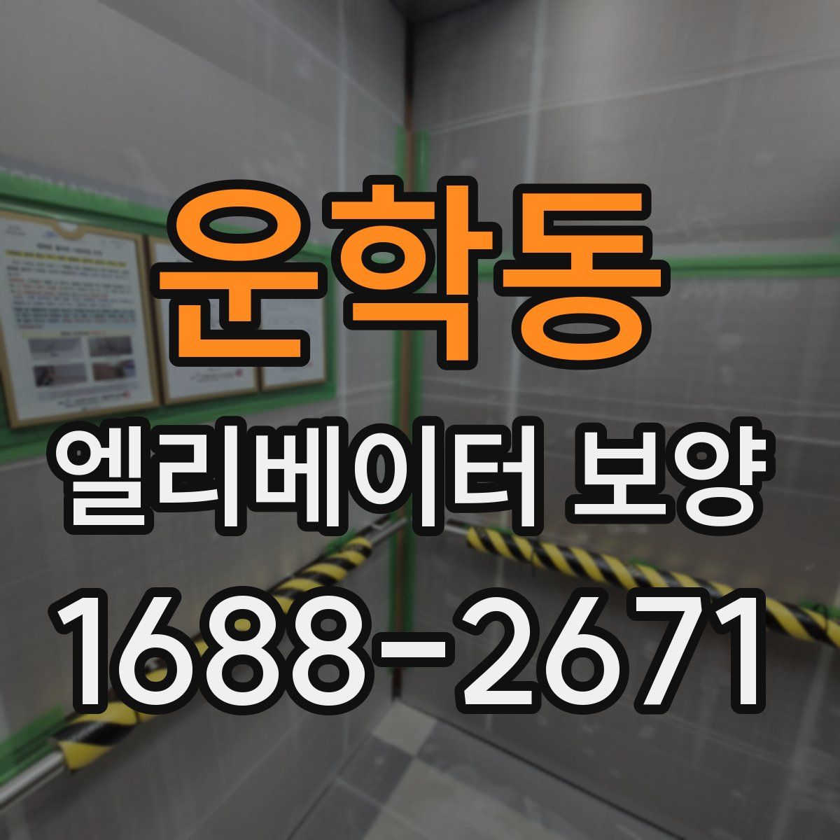 운학동 엘리베이터 보양