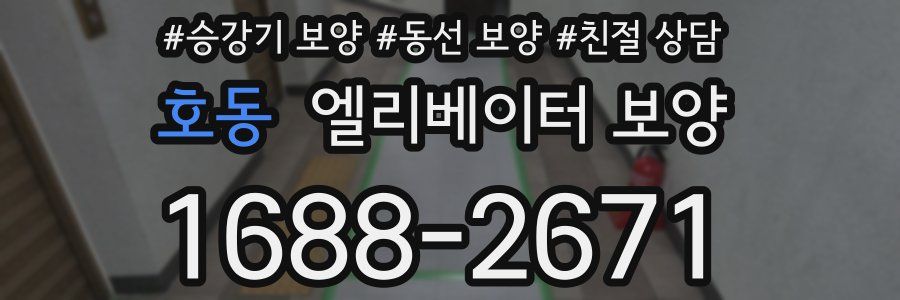 호동 엘리베이터 보양