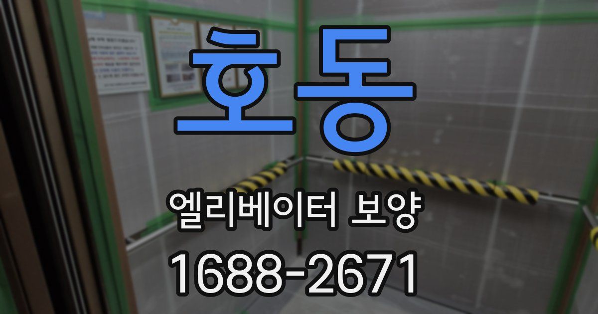 호동 엘리베이터 보양