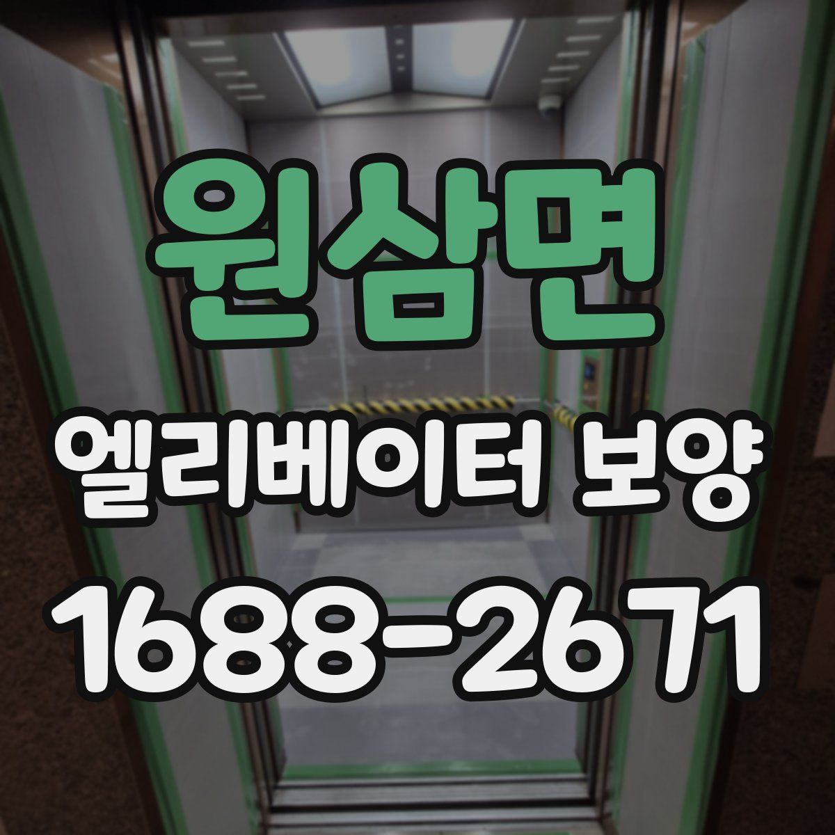 원삼면 엘리베이터 보양