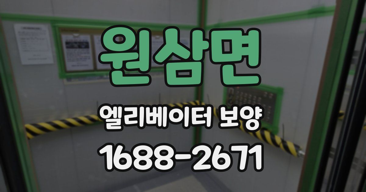 원삼면 엘리베이터 보양