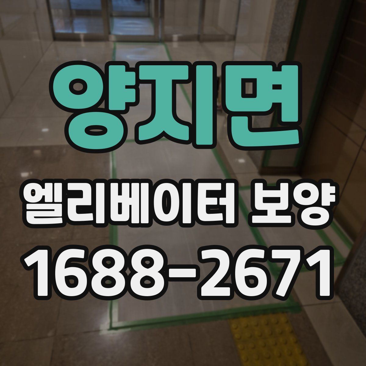 양지면 엘리베이터 보양
