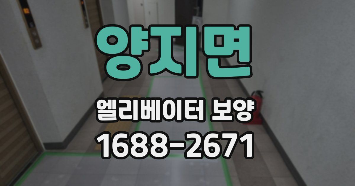양지면 엘리베이터 보양