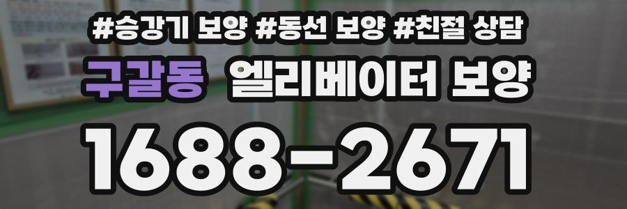 구갈동 엘리베이터 보양