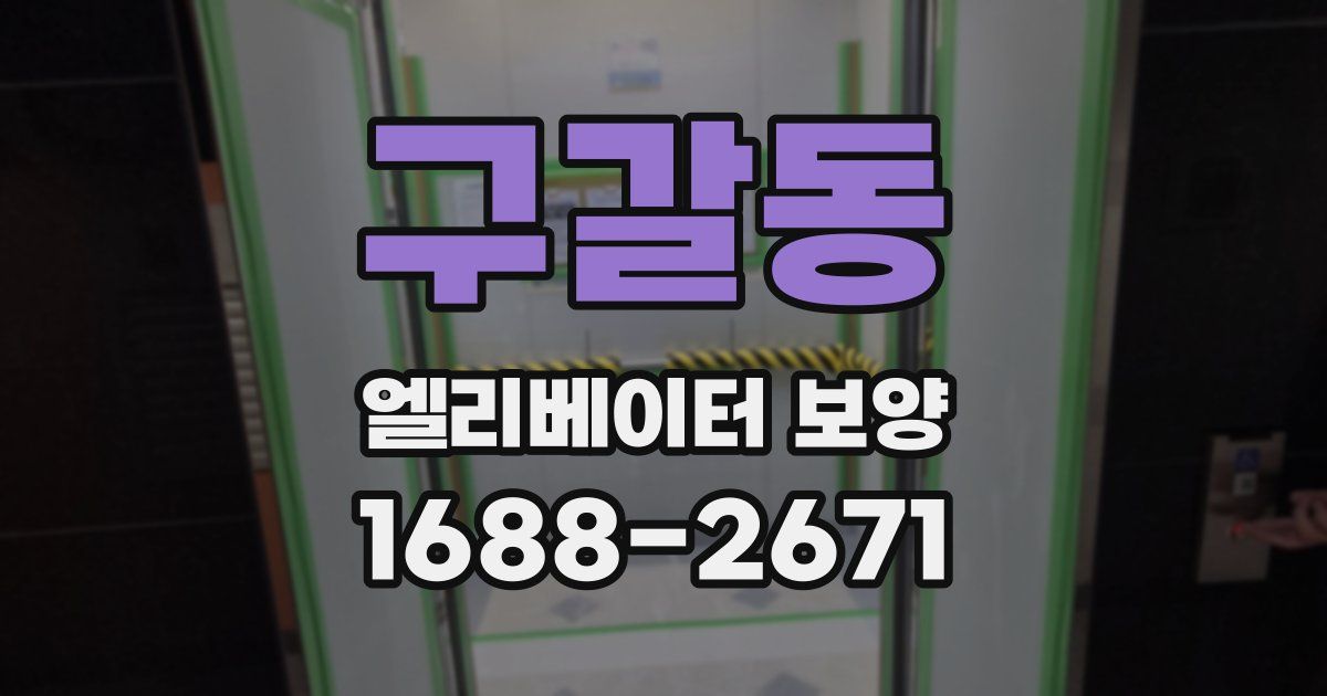 구갈동 엘리베이터 보양