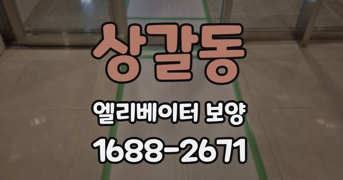 상갈동 엘리베이터 보양