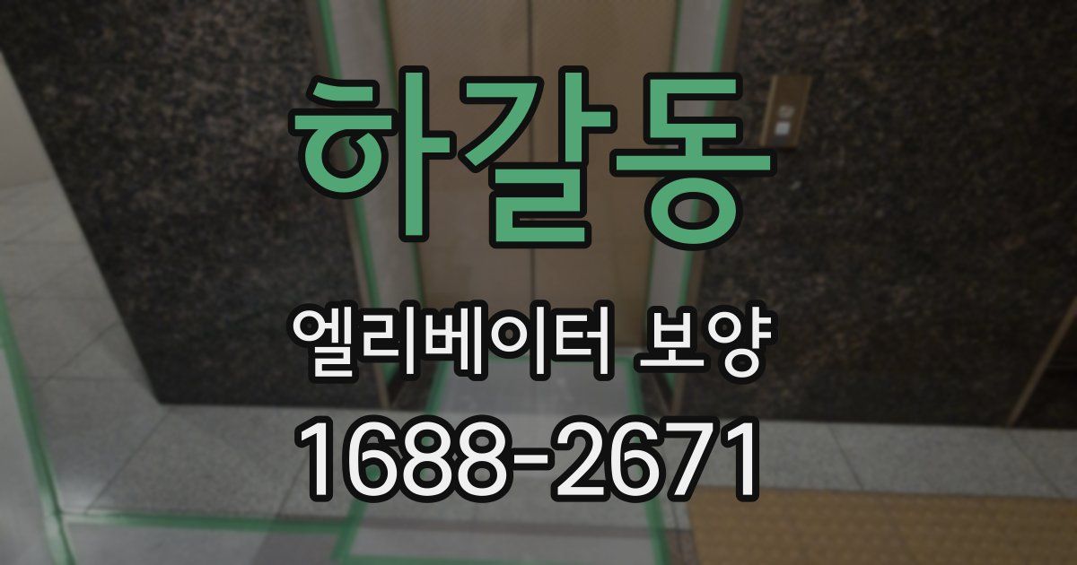 하갈동 엘리베이터 보양