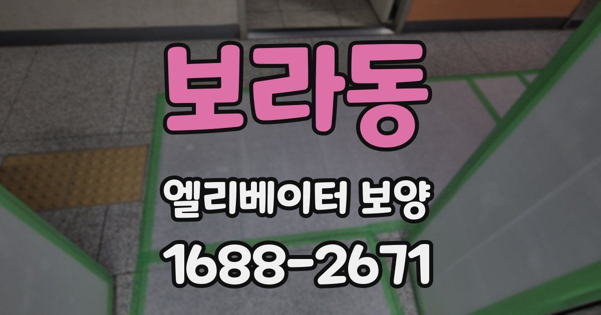보라동 엘리베이터 보양