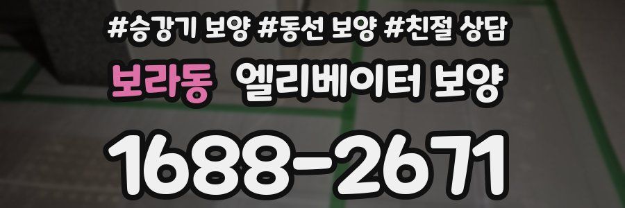 보라동 엘리베이터 보양