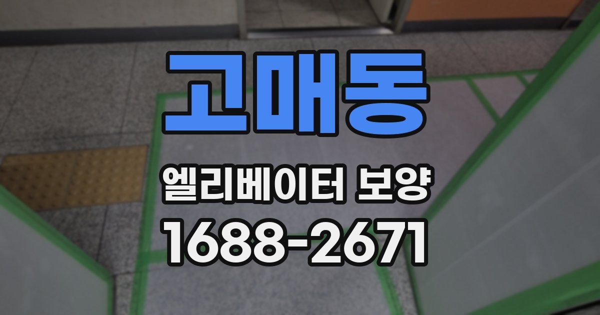 고매동 엘리베이터 보양